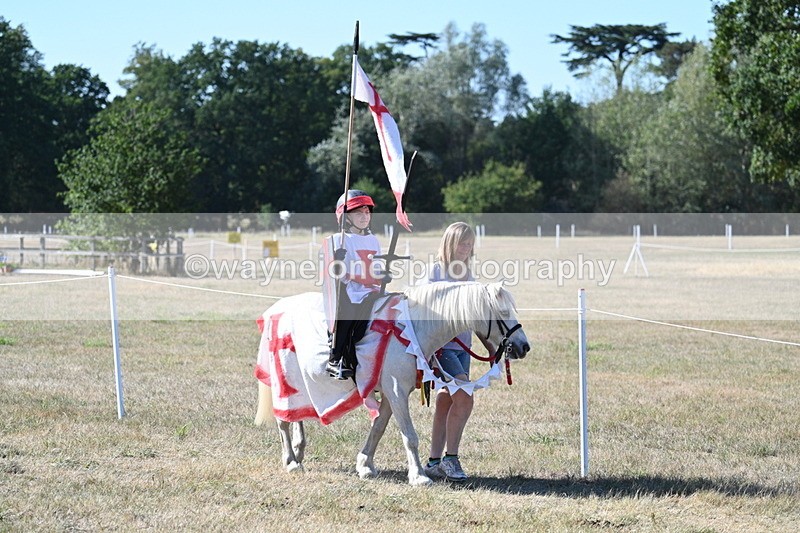 WJ7_2517 - Class 45 Fancy Dress (My Fav)