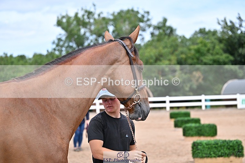 250716-130527-00318 - Trot Up 12.30 to 1.30