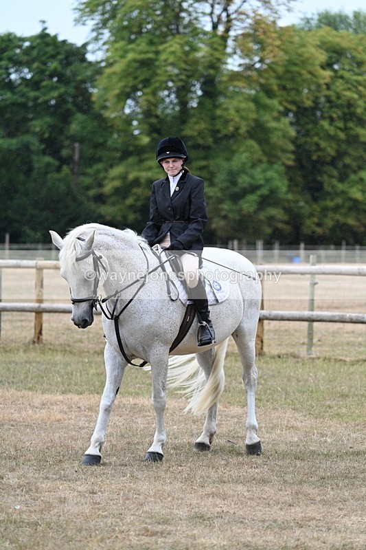 WJ7_0796 - Class 7 Riding Club Show Horse