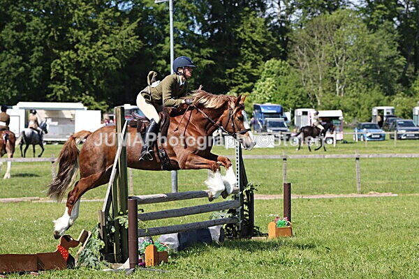 IMG_4354 - Working Hunter