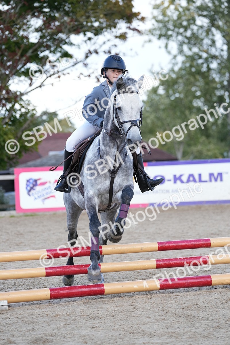 SBM_18182 - J58 - Clear Round 50cm