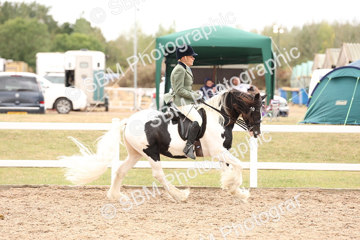 SBM_19654 - Class 216 - Ridden Traditional - Native Cob