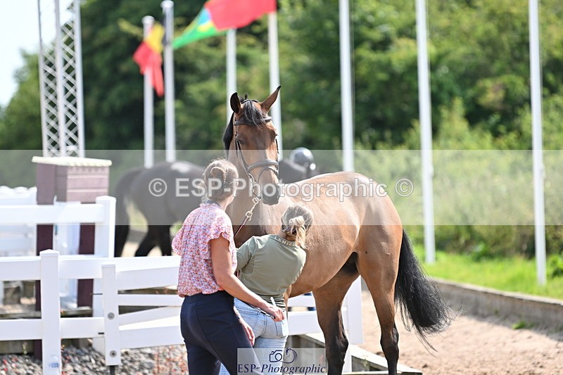 240717A-154852-03067 - Trot Up 3pm to 4pm