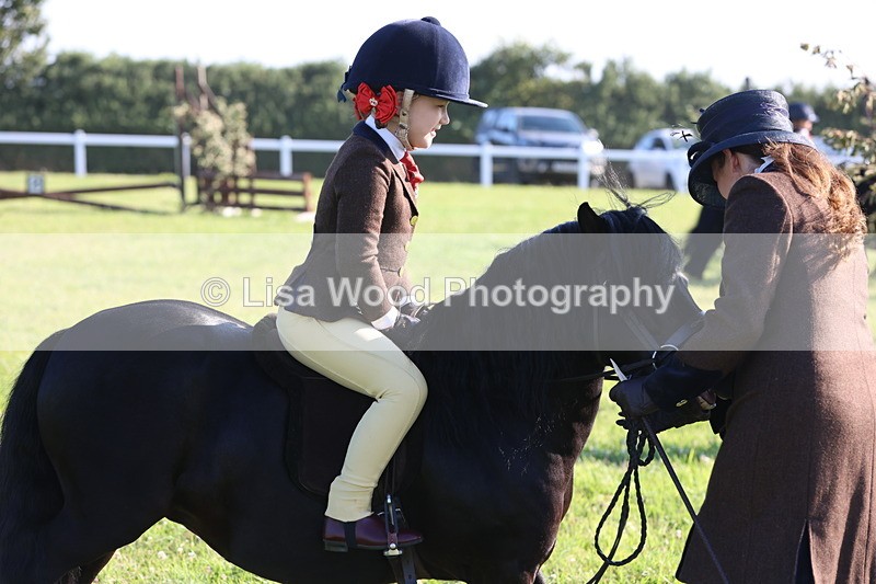JPP_0833 - Class 16: Cornish Combination Leading Rein