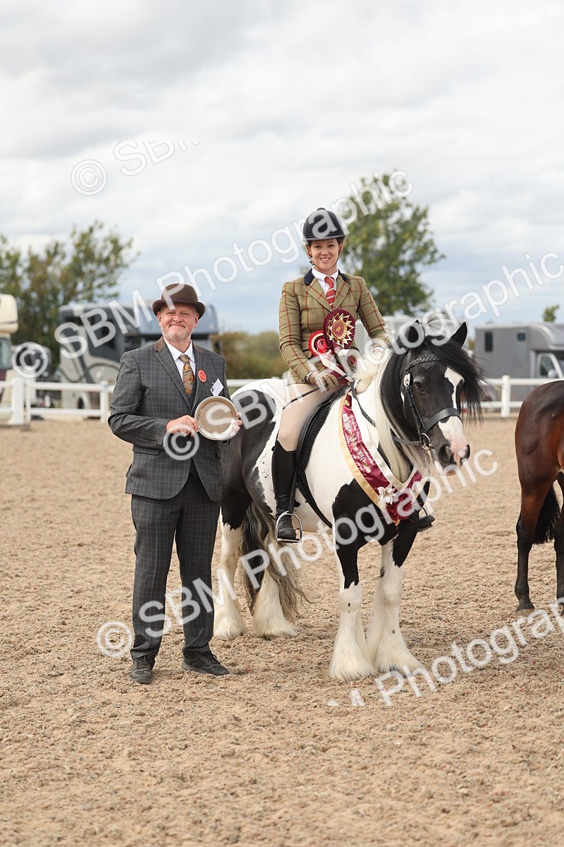 SBM_18063 - Class 314 - Family Horse Pony