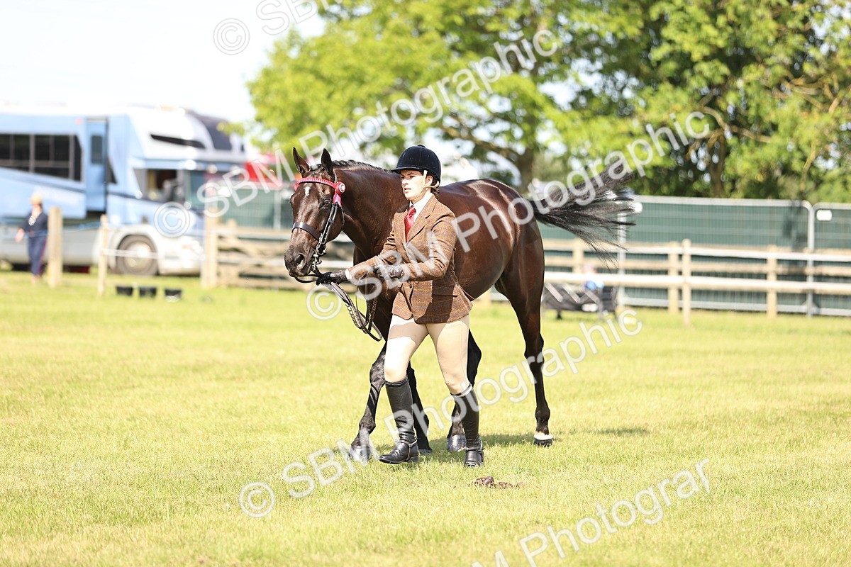 SBM_13022 - Class 75-76 LIHS BSHA Rising Star Hack Riding Horse