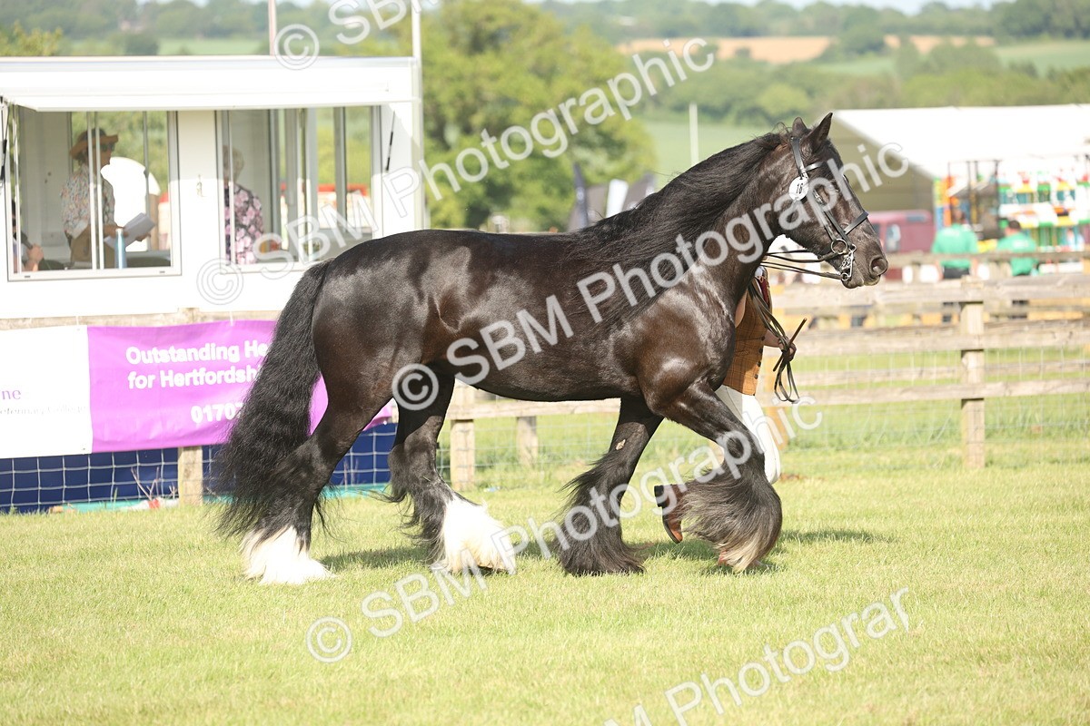 SBM_10375 - Class 33-38 - SSADL RIHS Qualifiers