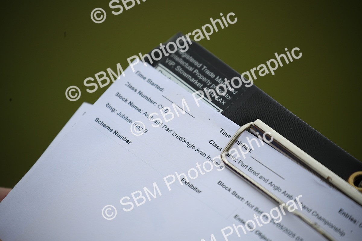 SBM_00198 - Class 17-20 - Arab & Part Bred - Anglo Arab In Hand