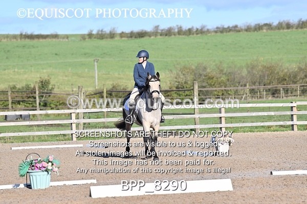 BPP_8290 - SHORT ARENA INTRO 1