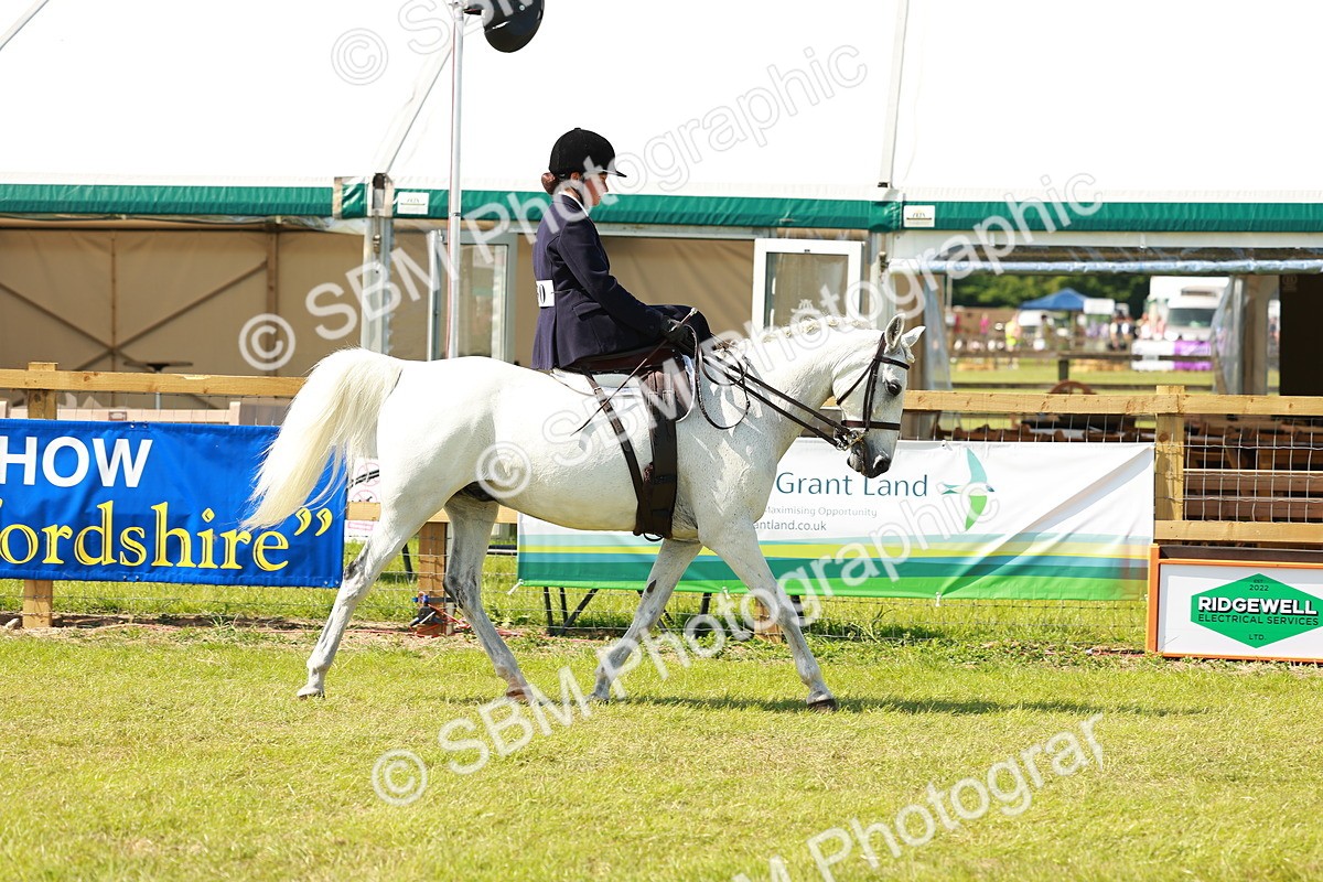 SBM_13307 - Class 70-71 - Side Saddle
