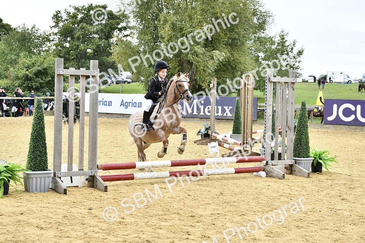 SBM_65513 - J2a mini Tour Junior Pony 30cm Championship