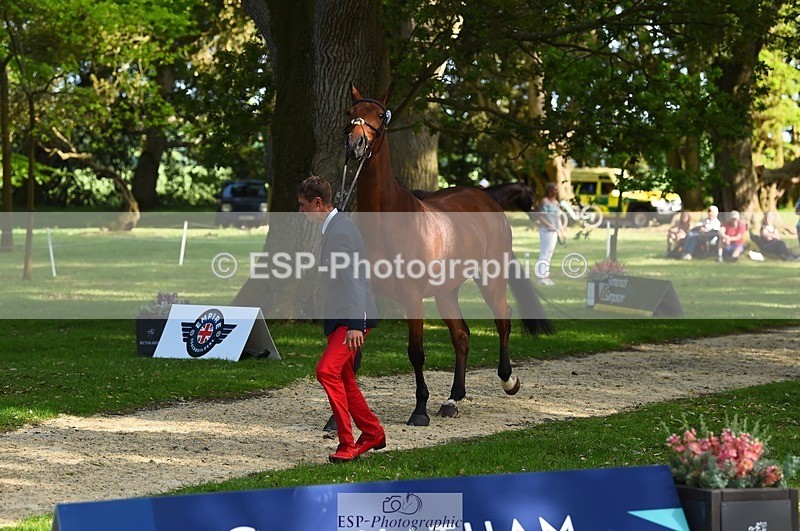 230524-170932-01311 - 173-HARIBO_LOUVO-Gaspard_Maksud-WEDTrotUp+DR