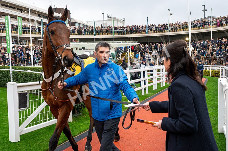 151125-Race 1-Lord-0737 - Race 1