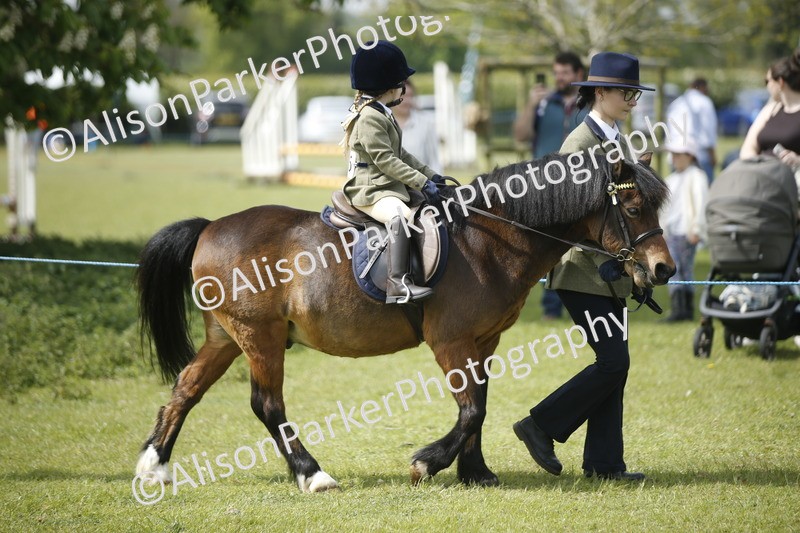 20260426-1859 - Class 7 - Pony Judge Would Most Like To Take Home