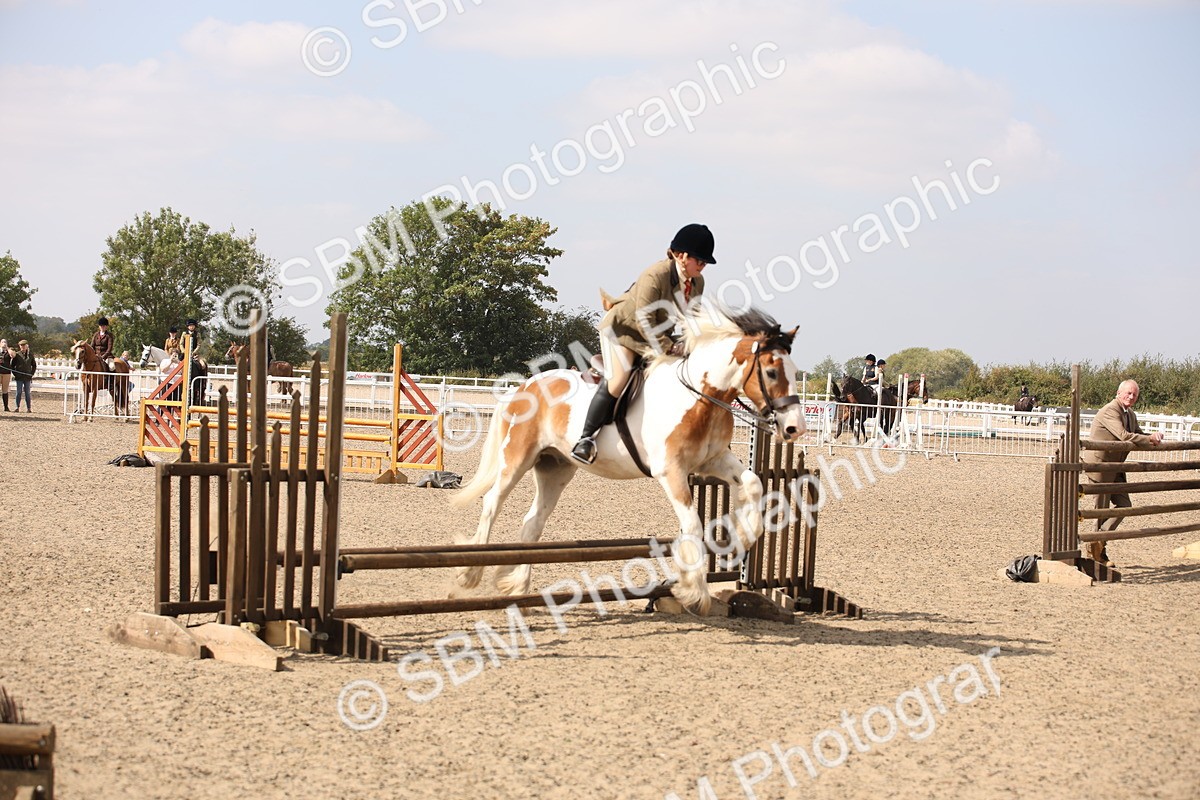 SBM_14293 - Class 407b - Working Veteran 60cm (20+)