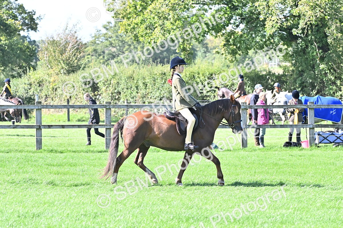SBM_44555 - S13 - Pony Club Pony