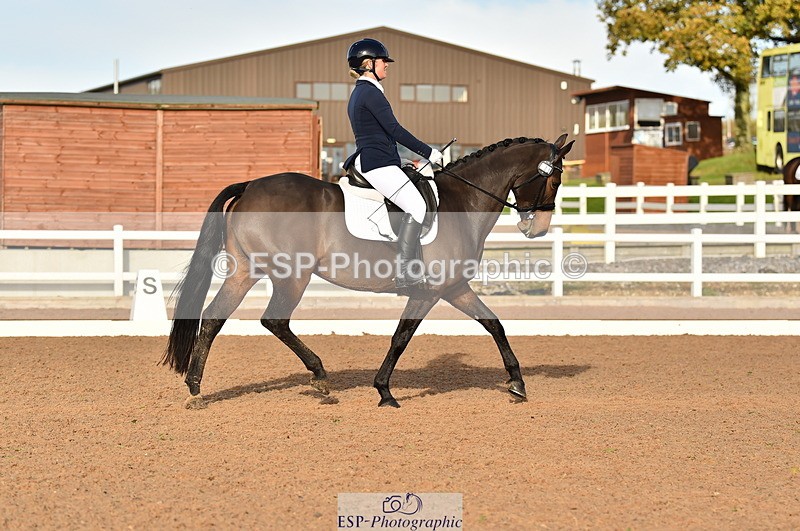 231104A-133414-01840 - Cls 10 Medium 61