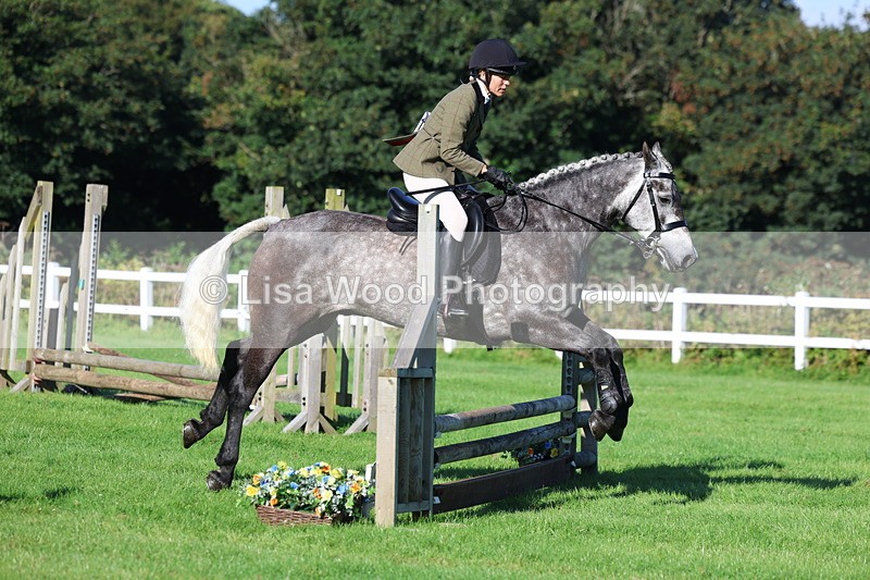 3E7A7538 - Class 1: Novice Working Hunter Pony