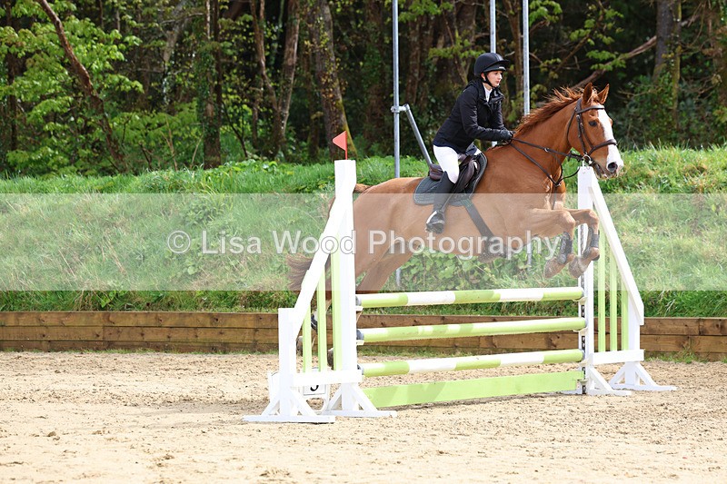 3E7A0865 - Class 4: Senior British Novice/90cm open