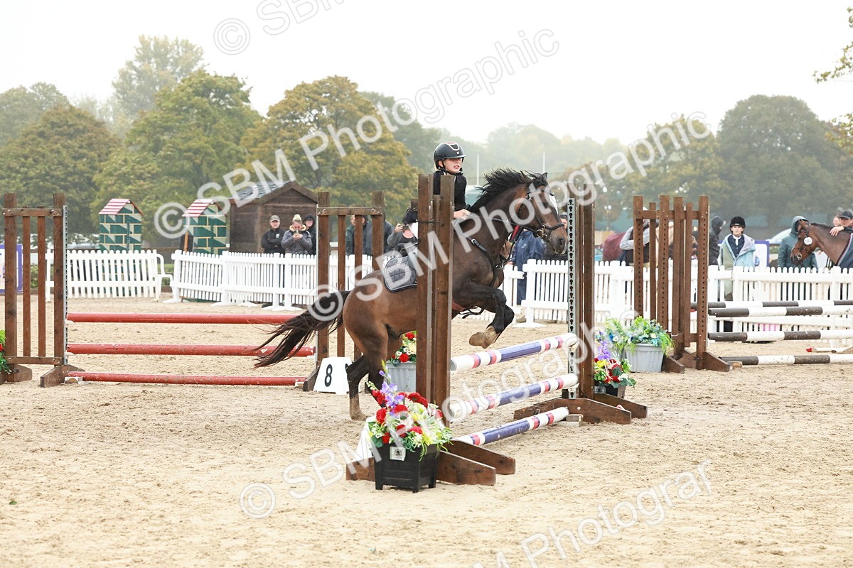 SBM_73393 - Supreme Championship Junior Pony 60cm & 65cm