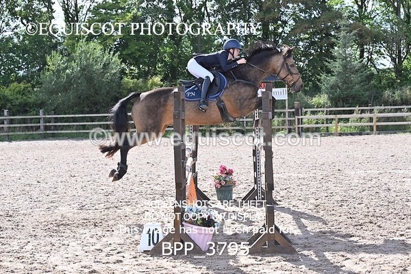 BPP_3795 - CLASS 43 SUN Senior Newcomers/ 1.10m Open