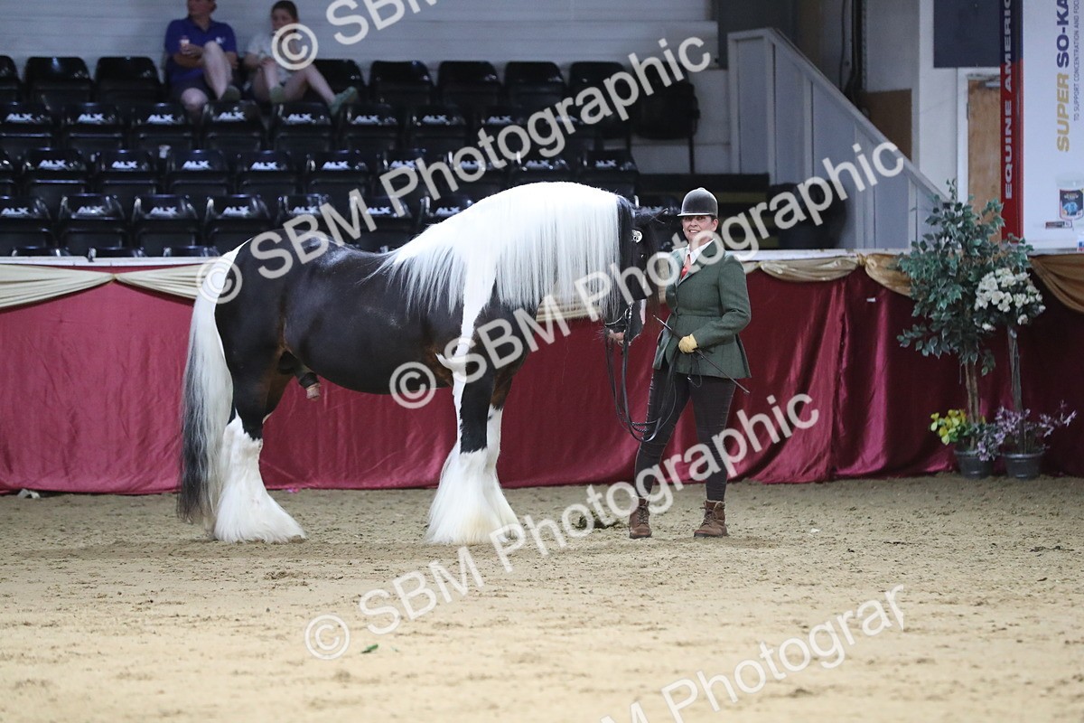 SBM_06363 - Class 9R Regional- IH Pre Vet