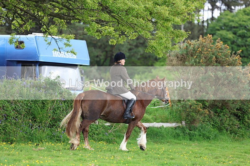 3E7A0610 - Class 5: Ridden M & M Senior