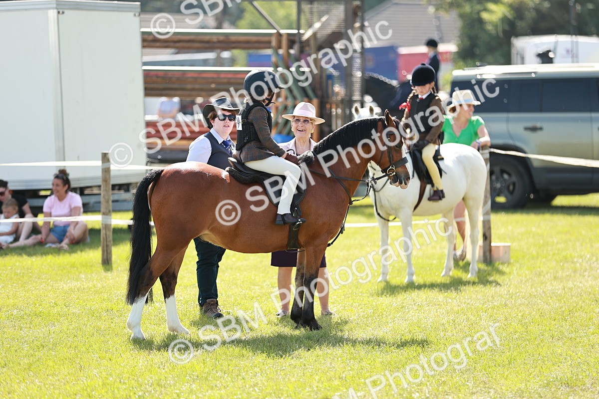 SBM_12725 - Class 106-107 - BSPS LIHS Working Sports Pony