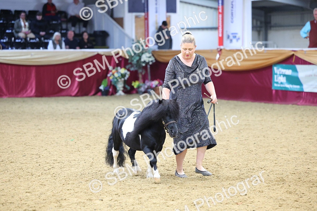 SBM_22839 - Class 903 - Supreme Final - IH Pre Vet