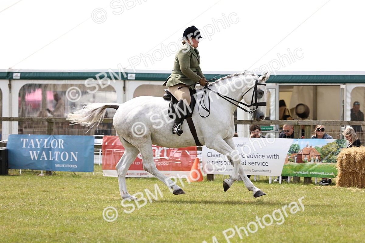 SBM_14708 - Class 88-89 - LIHS BSHA Rising Star of Ridden Hunter Type