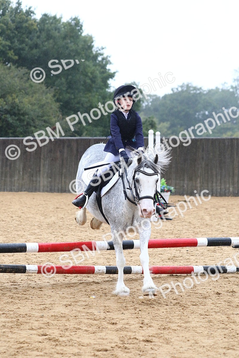 SBM_71704 - J4 - Mini Tour Junior Pony 45cm Championship