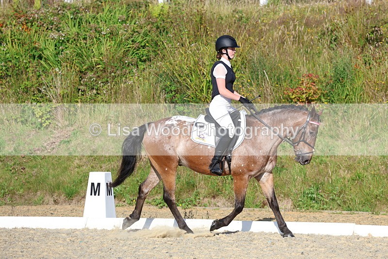 3E7A3612 - Class 2: Intro 1 2024 Section B