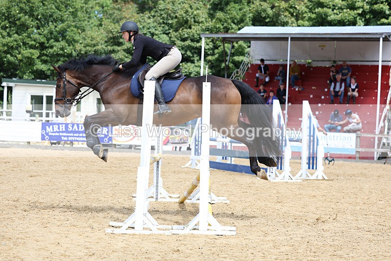 3E7A0201 - Class 9: Senior British Novice/90cm open