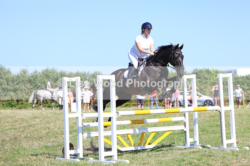 3E7A6548 - Class 13: Senior Newcomers/1.10m open