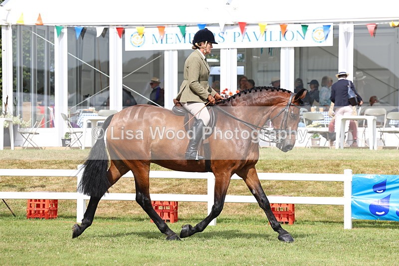 3E7A9296 - Class 4: Rising Star M/H Hunter