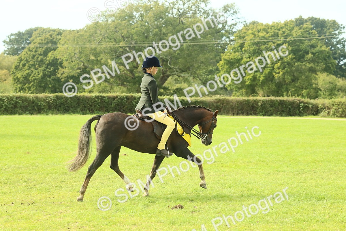 SBM_68169 - S57 - Part Bred Pony Ridden