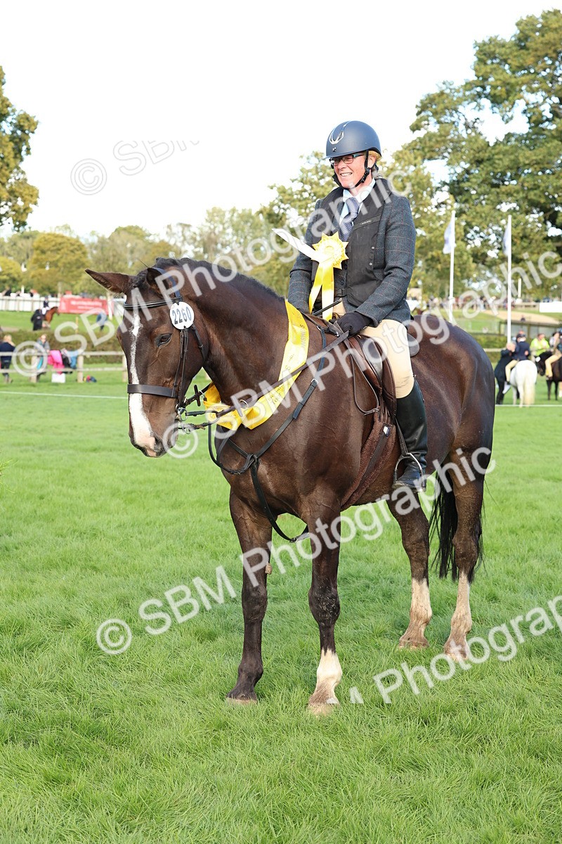 SBM_50191 - S34 - Novice & Newcomers Working Hunter