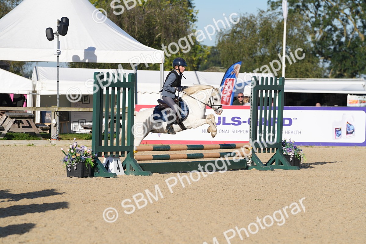 SBM_34385 - J62 - Clear Round 50cm