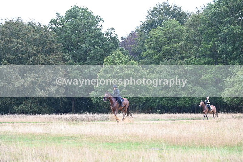 DSC_3318 - Time at Statue 13:51 to 14:55