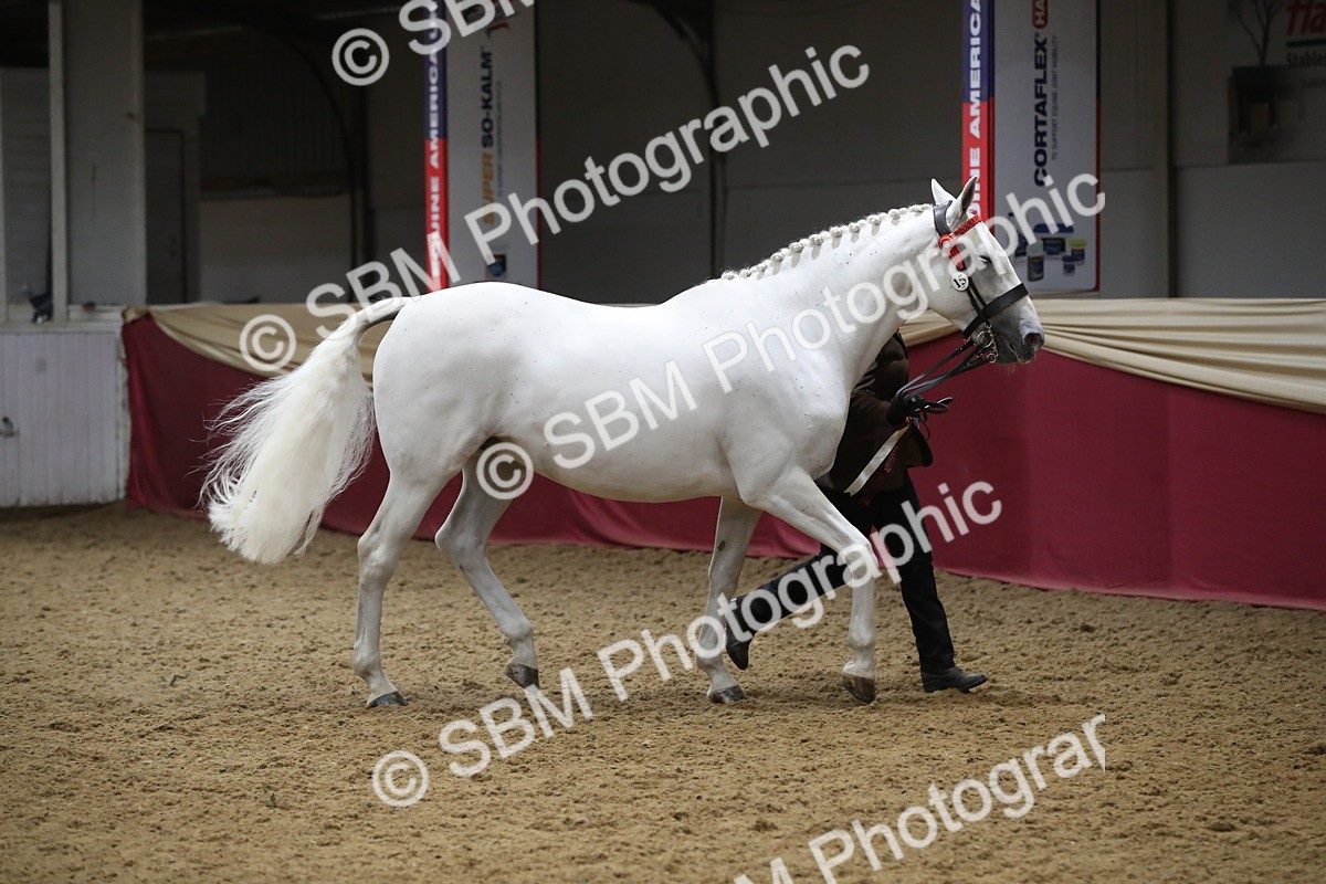 SBM_05839 - Class 9R - Regional IH Pre-Vet
