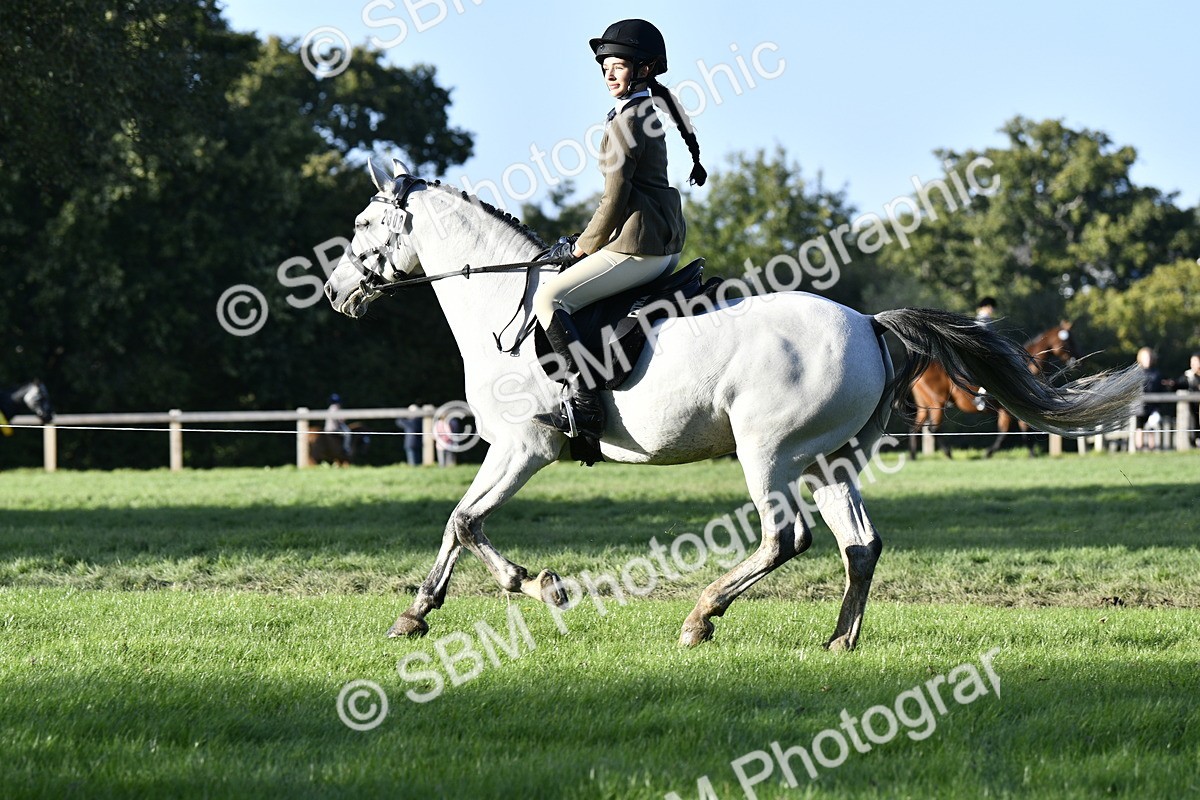 SBM_53520 - S14 - Riding Club Horse