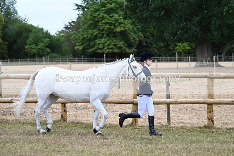 WJ7_8811 - Class 4a Prettiest Mare 14.2hh and over