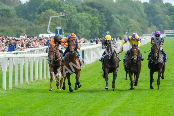 080925-Race 4-Zain Blue-9040 - Race 4 4.00pm Sky Bet Extra Places Middle Distance Handicap