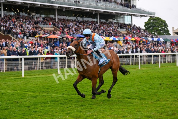 150624-Race 5-The Strikin Viking-7669 - Race 5 4.10pm Reg Griffin Appreciation ebfstallions.com Maiden Stakes