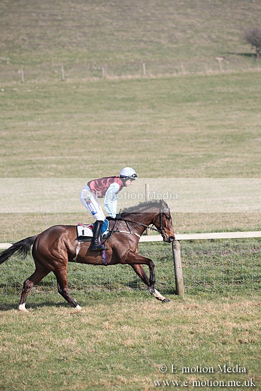 PtP 230219 260 - Vine & Craven Point-To-Point - Barbury 23/02/19