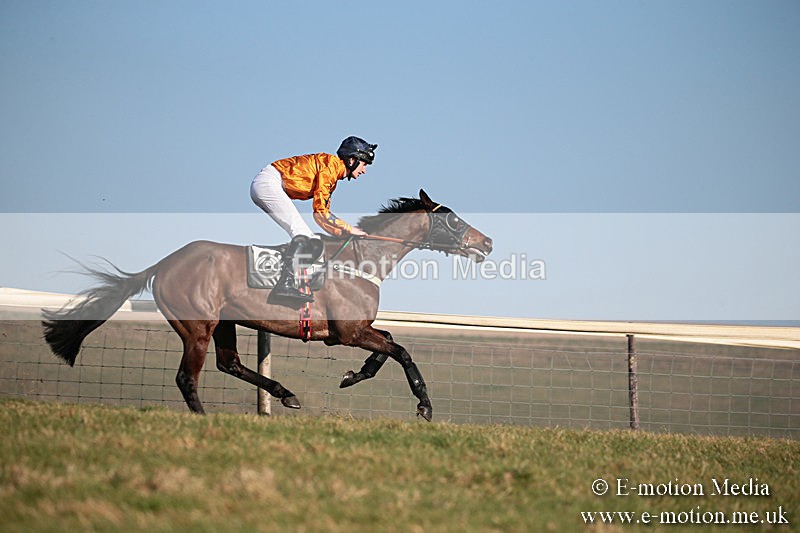 PtP 230219 394 - Vine & Craven Point-To-Point - Barbury 23/02/19