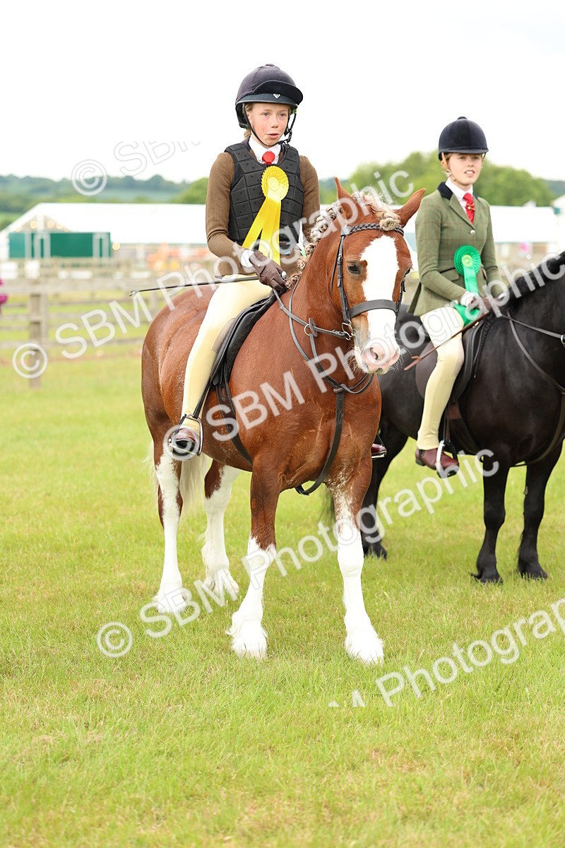 SBM_10408 - Class 44-45 - LIHS BSPS Open Nursery and Cradle Stakes