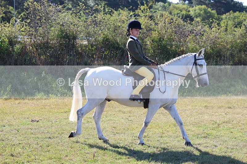 3E7A5388 - Class 2: Working Hunter 60cm