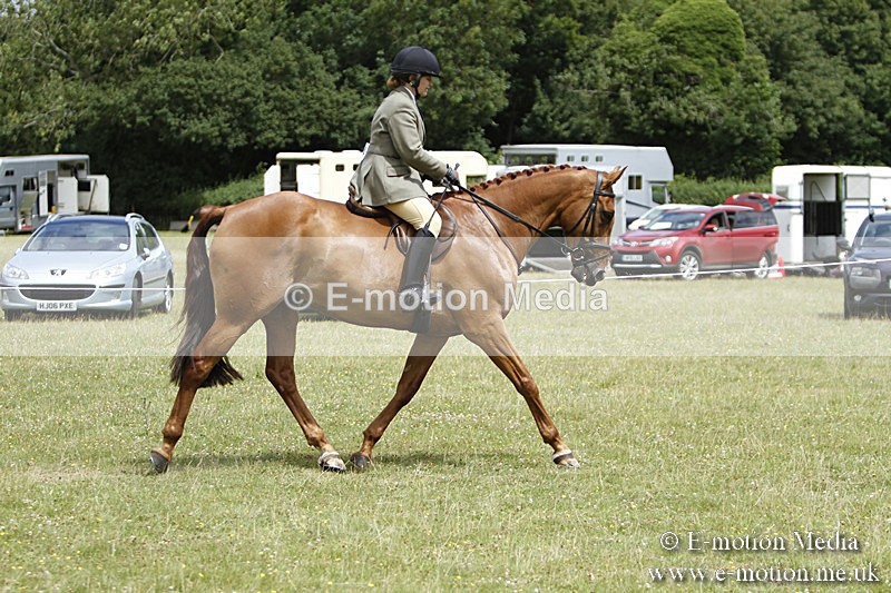 BVR160717-1822 - Ring 3 BVRC Show 16/07/17