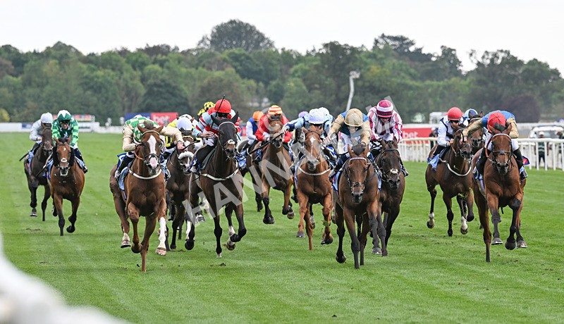 220826-132 Daiquiri Bay - Race 4 15.35pm Sky Bet Ebor Handicap